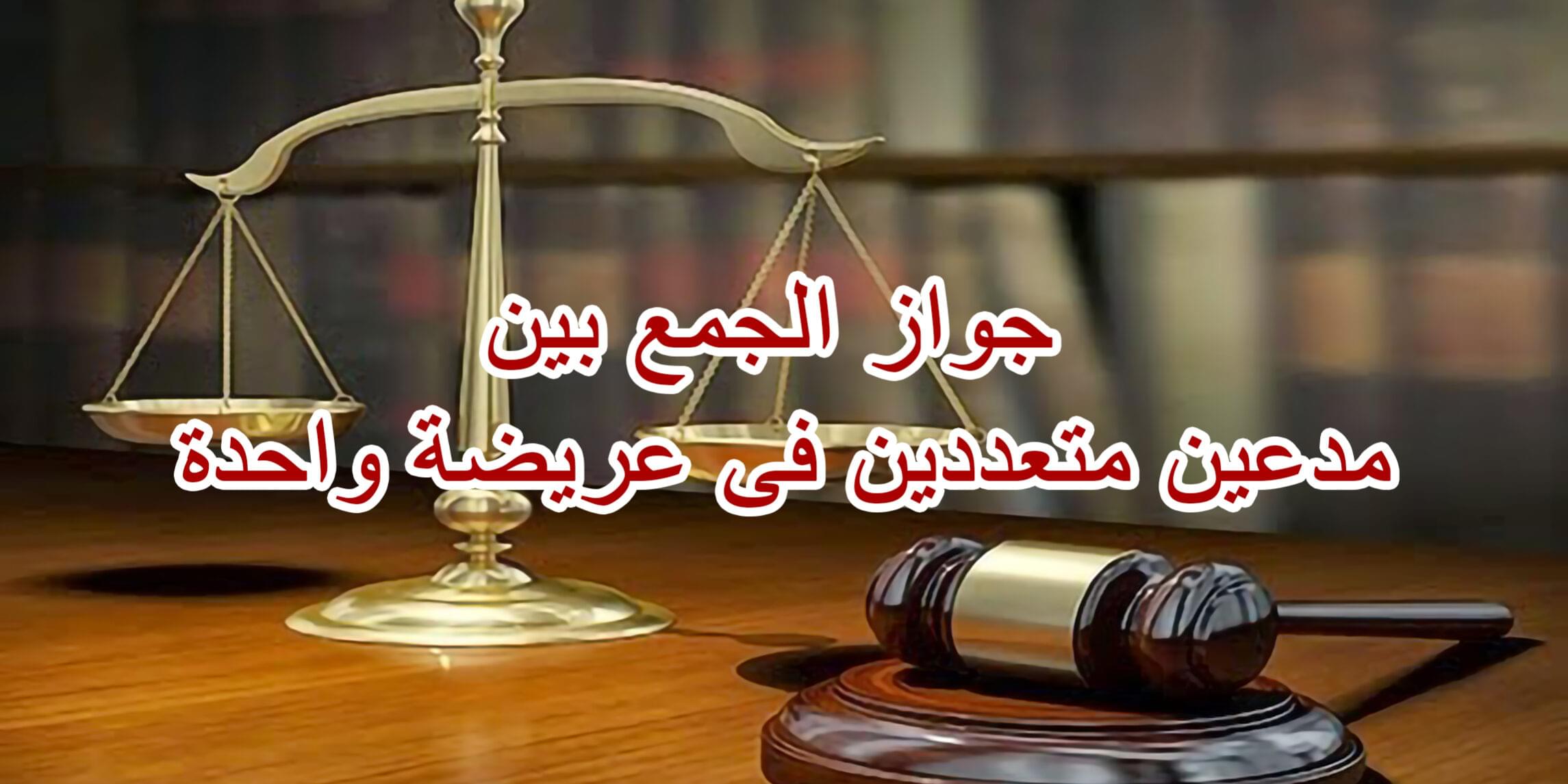 جواز الجمع بين مدعين متعددين فى عريضة واحدة