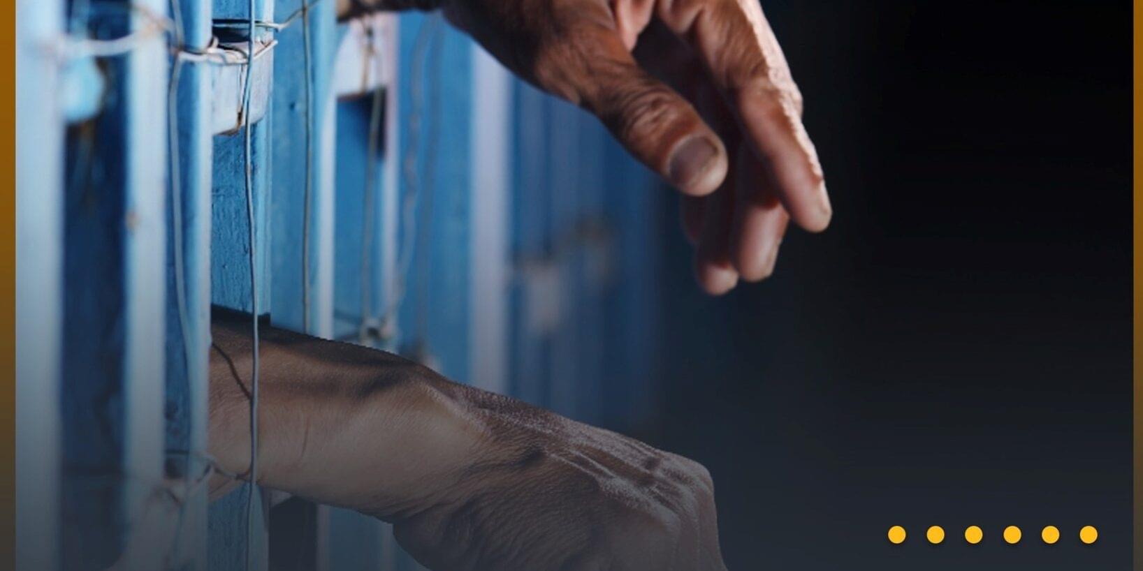 العقوبات الواردة في التعديلات الجديدة لقانون الزراعة