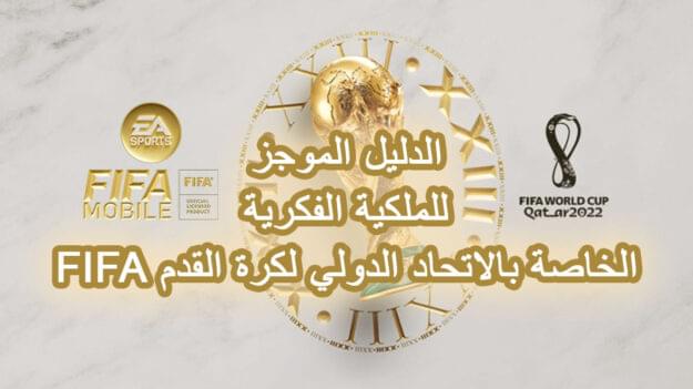 الدليل الموجز للملكية الفكرية الخاصة بالاتحاد الدولي لكرة القدم FIFA