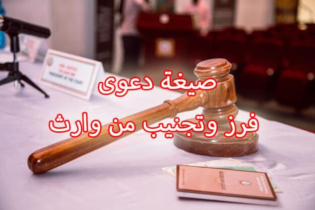 صيغة دعوى فرز وتجنيب من وارث