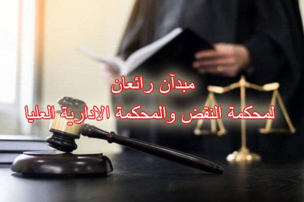مبدآن رائعان لمحكمة النقض والمحكمة الادارية العليا