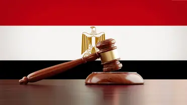 نماذج صيغ دعاوى الحراسة (الثانية عشر) دعوى حراسة على شركة توصية بسيطة