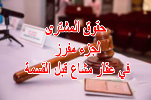 حقوق المشترى لجزء مفرز في عقار مشاع قبل القسمة