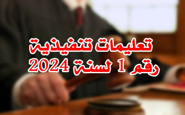 تعليمات تنفيذية رقم 1 لسنة 2024
