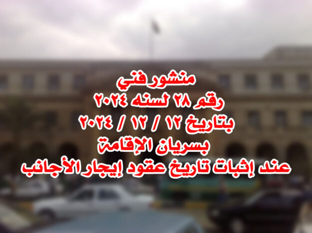 منشور فني رقم 28 لسنه 2024