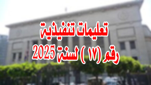 تعليمات تنفيذية رقم (١٧ ) لسنة 2025