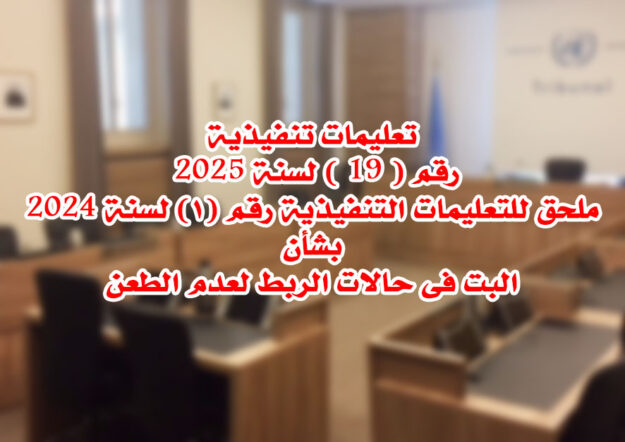 تعليمات تنفيذية رقم ( 19 ) لسنة 2025.