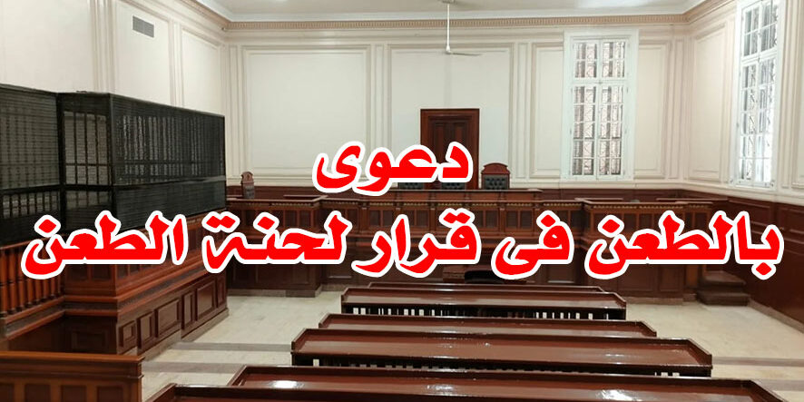 دعوى بالطعن فى قرار لحنة الطعن