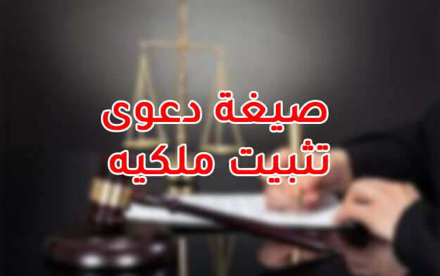 صيغة دعوى تثبيت ملكيه