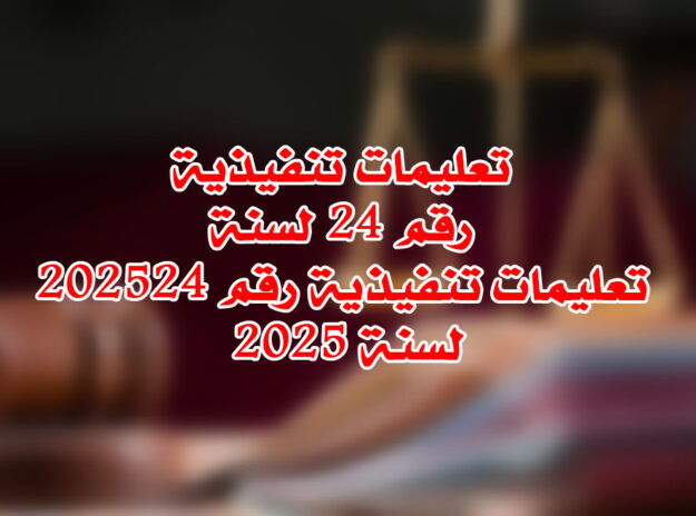 تعليمات تنفيذية رقم 24 لسنة 2025