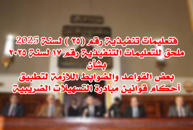 تعليمات تنفيذية رقم ٢٥ لسنة 2025