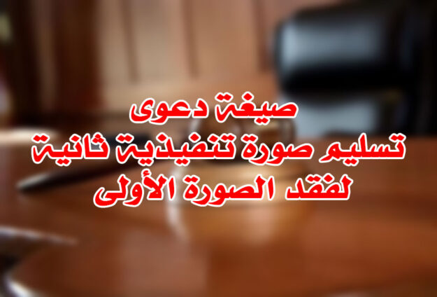 دعوى تسليم صورة تنفيذية ثانية