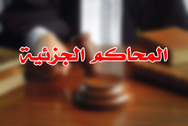 المحاكم الجزئية