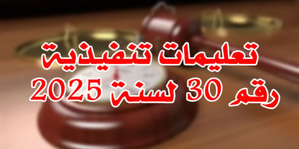 تعليمات تنفيذية رقم 30 لسنة 2025