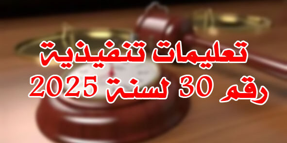 تعليمات تنفيذية رقم 30 لسنة 2025