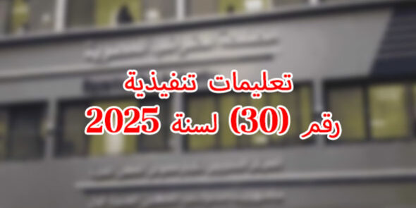 تعليمات تنفيذية رقم 30 لسنة 2025