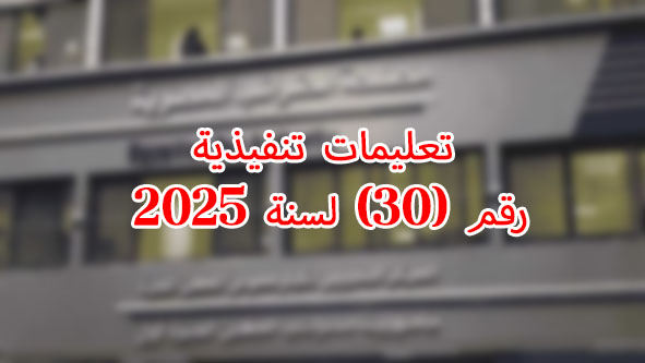 تعليمات تنفيذية رقم 30 لسنة 2025