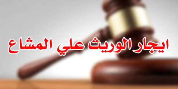 ايجار الوريث علي المشاع