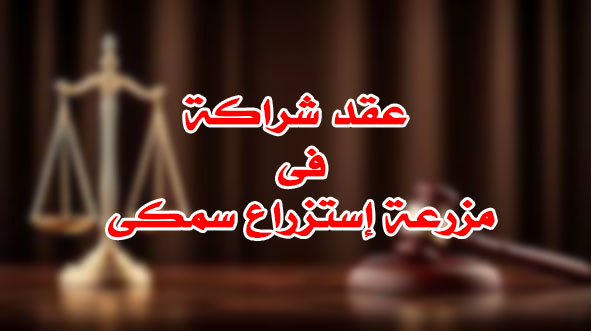 عقد شراكة فى مزرعة إستزراع سمكى