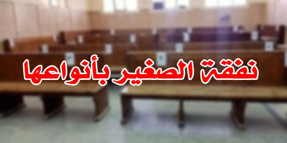 نفقة الصغير بأنواعها