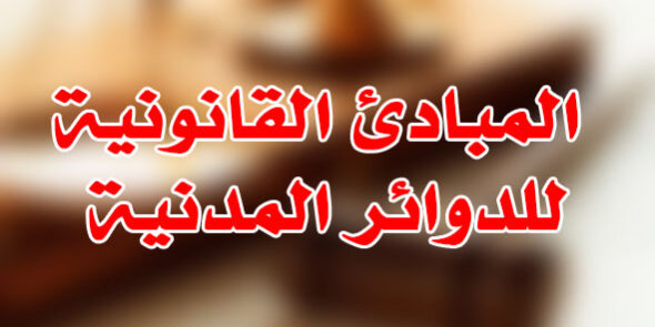 المبادئ القانونية للدوائر المدنية