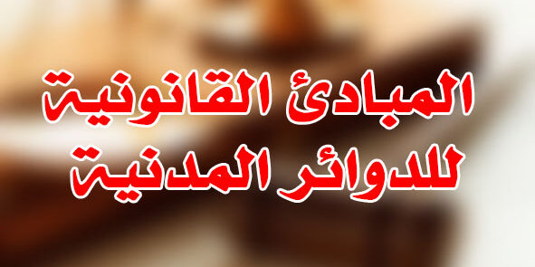المبادئ القانونية للدوائر المدنية