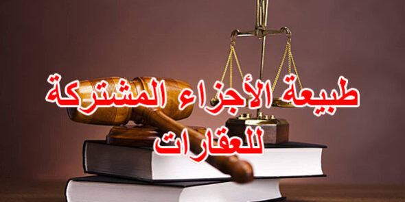 طبيعة الأجزاء المشتركة للعقارات