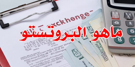 ماهو البروتستو