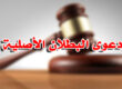 دعوى البطلان الأصلية