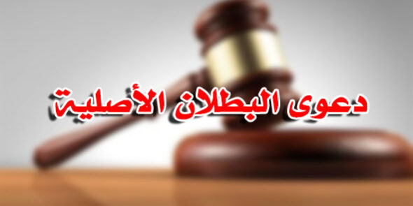 دعوى البطلان الأصلية