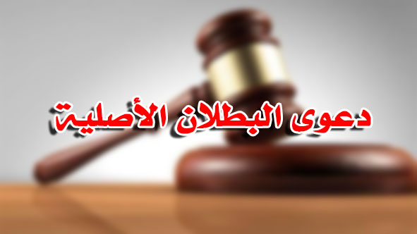 دعوى البطلان الأصلية
