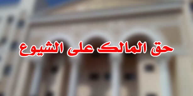 حق المالك على الشيوع