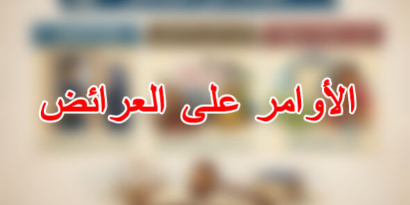 الأوامر على العرائض